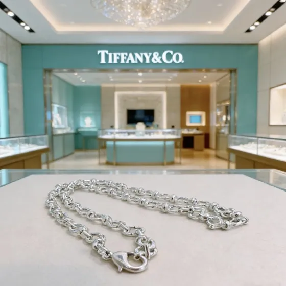 Tiffany Co Forged Link necklace sterling silver 20 inches