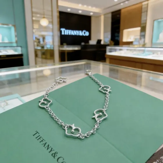 Tiffany Co Apple Charm Link Bracelet bracelet sterling silver 7 inches