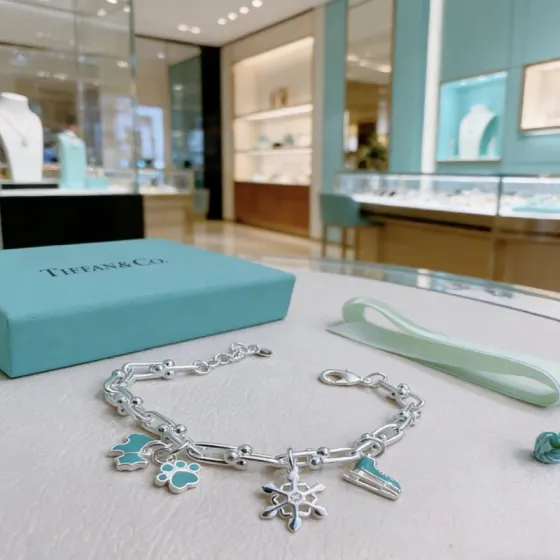 Tiffany Co HardWear Winter Charm Bracelet bracelet Sterling silver with Tiffany Blue enamel accents and clear stone detail 18cm
