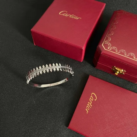 Cartier Clash de Cartier bracelet silver-toned metal 17
