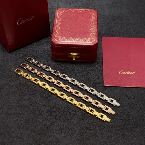 Cartier Santos de Cartier Chain Bracelet bracelet Yellow gold rose gold white gold with clear diamond accents 19CM