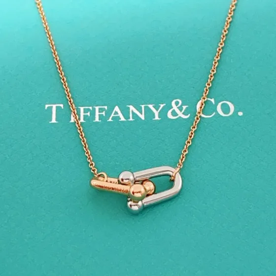 Tiffany Co HardWear necklace Two-tone rose gold and sterling silver no gemstones 16-18 inch adjustable