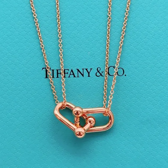 Tiffany Co Tiffany HardWear necklace 18K rose gold no gemstones 45cm