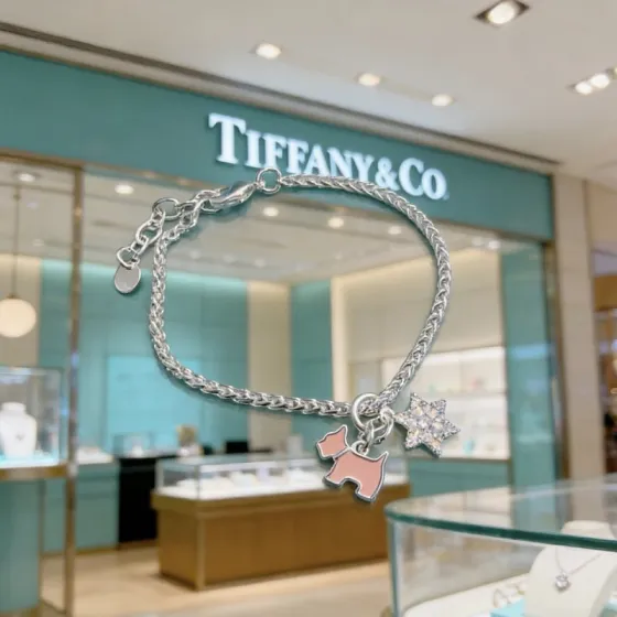 Tiffany Co Charm Bracelet bracelet Silver-toned metal with pink enamel dog charm and clear pave star charm 18cm
