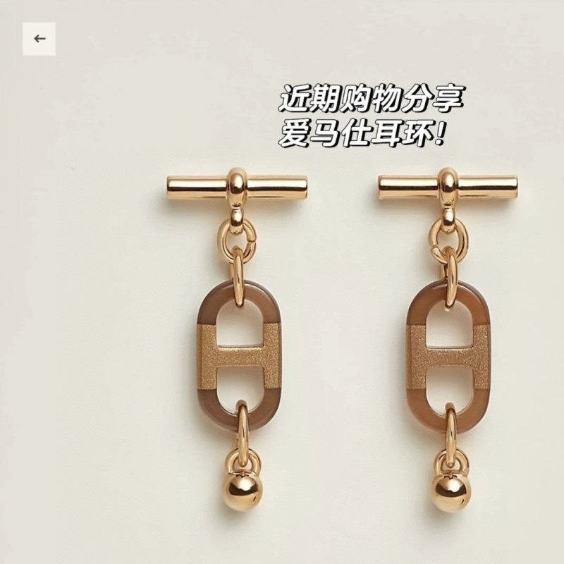 Hermes Sur Mer earrings gold-tone metal with brown marbled resin accents small