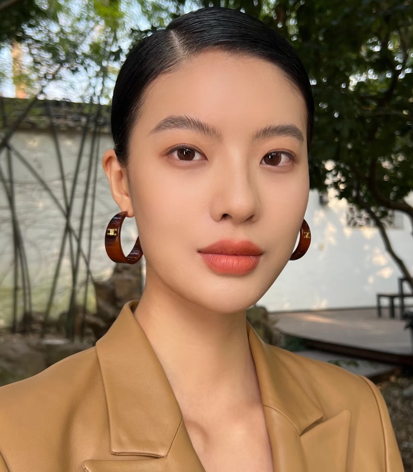 Celine Triomphe Acrylic Hoop Earrings earrings gold-tone metal with tortoiseshell brown amber acrylic 3 5cm hoop diameter