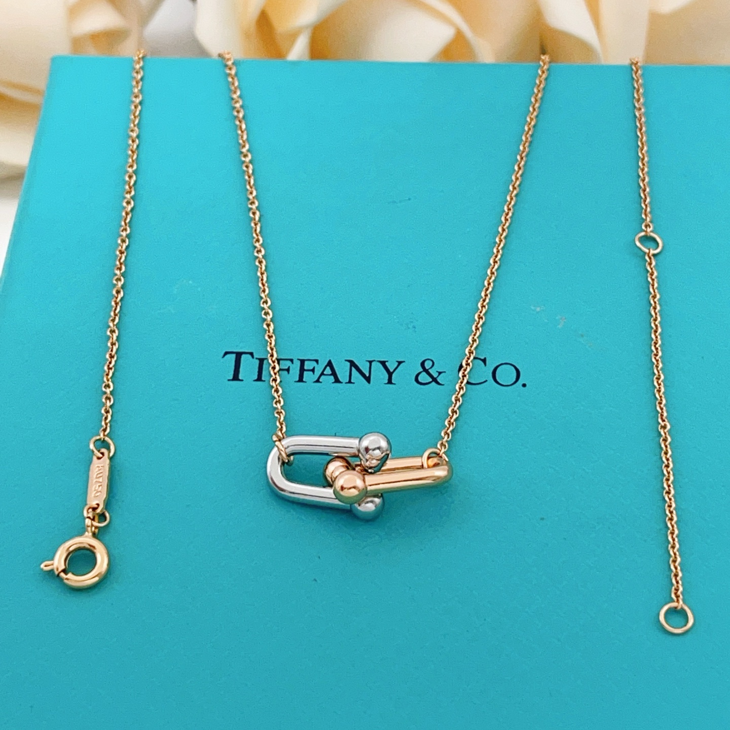 Tiffany Co HardWear necklace Two-tone rose gold and sterling silver no gemstones 16-18 inch adjustable