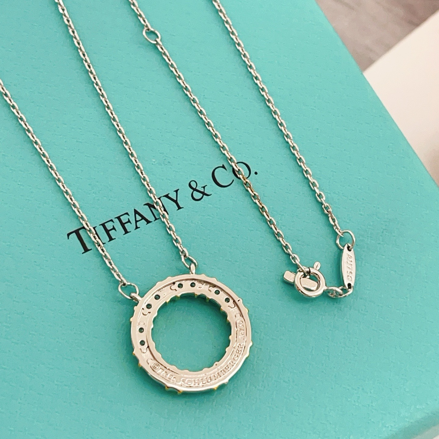 Tiffany Co Schlumberger X Circle Pendant necklace Sterling silver and 18k gold with clear diamonds 16 inches