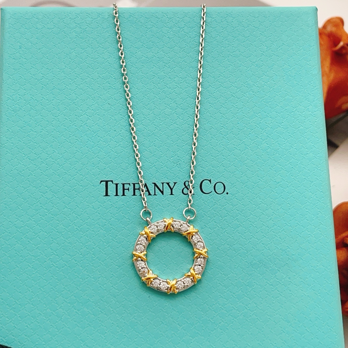 Tiffany Co Schlumberger X Circle Pendant necklace Sterling silver and 18k gold with clear diamonds 16 inches
