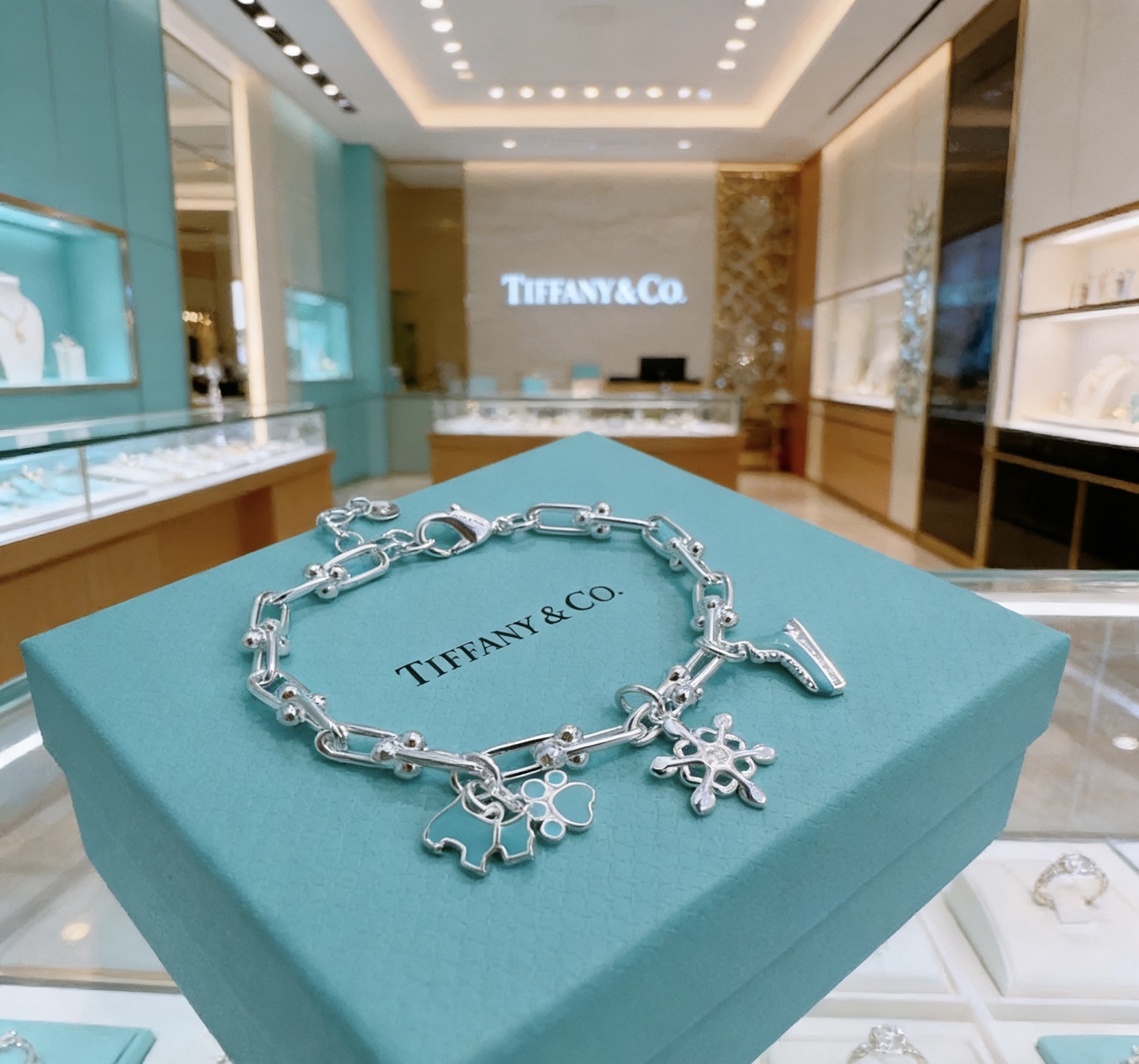 Tiffany Co HardWear Winter Charm Bracelet bracelet Sterling silver with Tiffany Blue enamel accents and clear stone detail 18cm