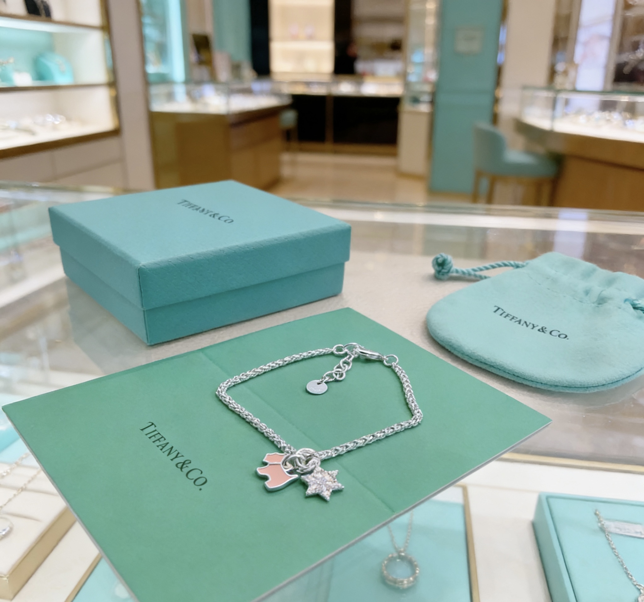 Tiffany Co Charm Bracelet bracelet Silver-toned metal with pink enamel dog charm and clear pave star charm 18cm